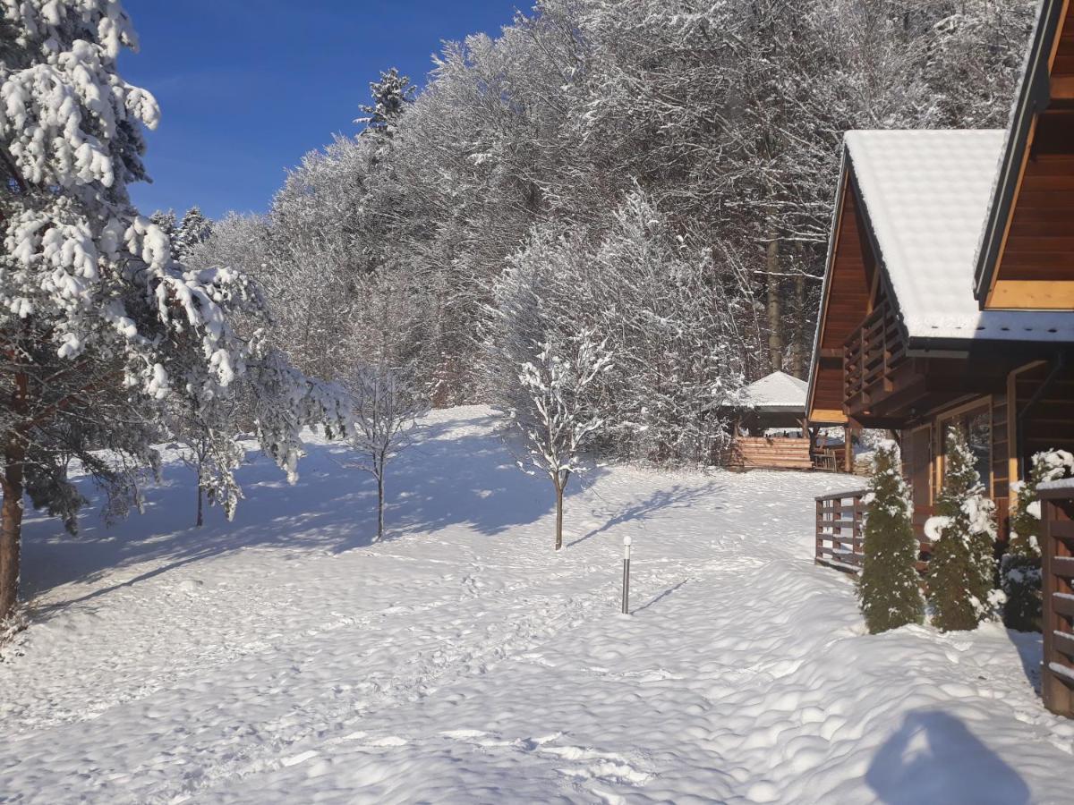 Lodge Lesny Zakatek *
