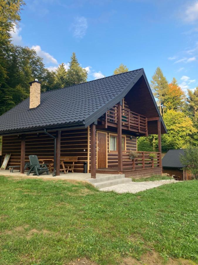 Lodge Lesny Zakatek