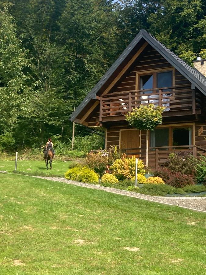 Lesny Zakatek Lodge