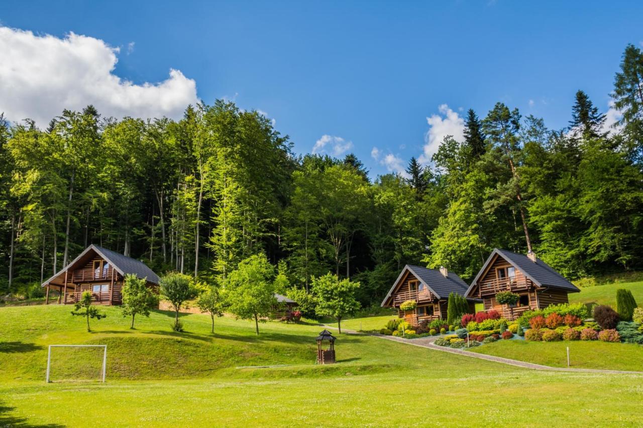 Lodge Lesny Zakatek